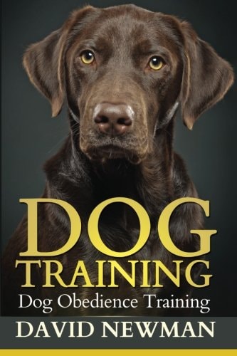 Dog Training Dog Obedience Training
