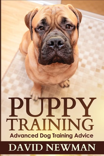 Puppy Training Advanced Dog Training Advice