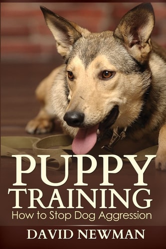 Puppy Training How to Stop Dog Aggression