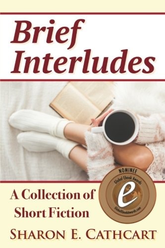 Brief Interludes An Anthology of Short Fiction