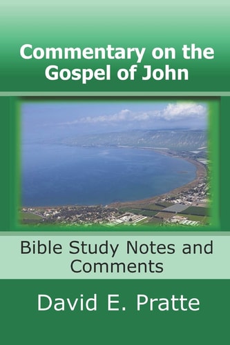 Commentary on the Gospel of John Bible Study Notes and Comments