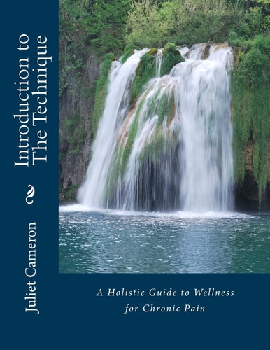 Introduction to The Technique A Holistic Guide to Wellness for Chronic Pain