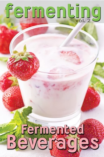 Fermenting Vol. 2 Fermented Beverages