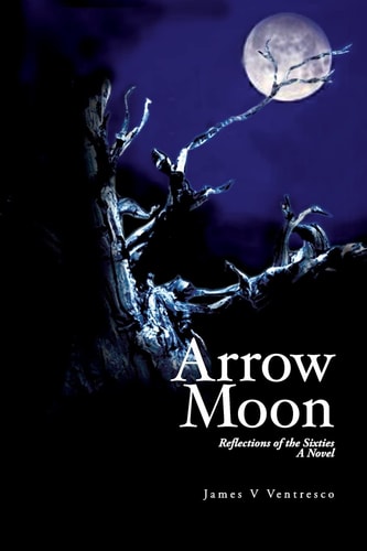 Arrow Moon Reflections of the Sixties a Novel