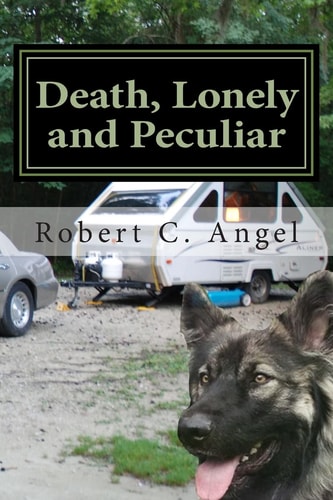 Death, Lonely and Peculiar A Dr. Ray Raether South Carolina Travel Mystery