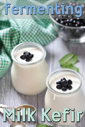 Fermenting Vol. 3 Milk Kefir