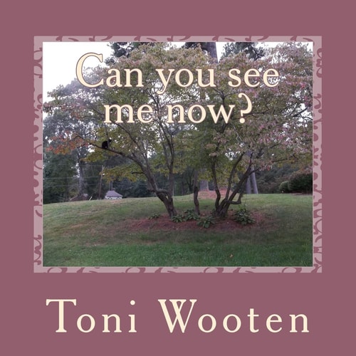 Can You See Me Now?
