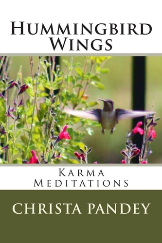 Hummingbird Wings Karma Meditations