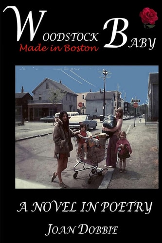 Woodstock Baby A Novel in Poetry