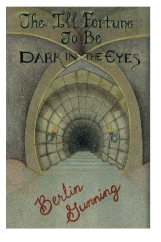 The Ill Fortune to Be Dark in the Eyes A Novel