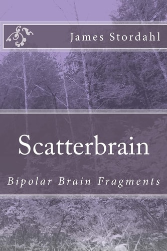 ScatterBrain Bipolar Brain Fragments