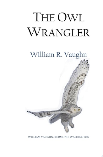 The Owl Wrangler Book One of The Seldith Chronicles