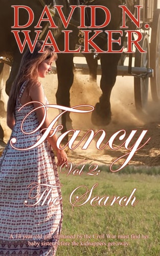 Fancy Vol 2 The Search