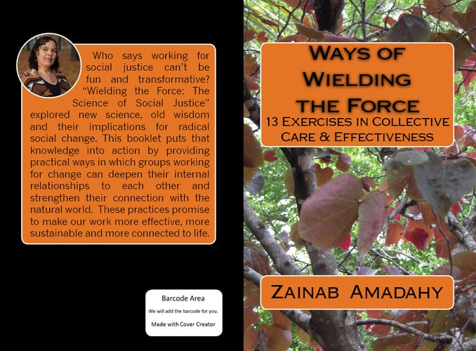 Ways of Wielding the Force 13 Exercises in Collective Care and Effectiveness
