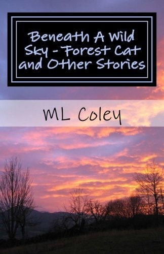 Beneath a Wild Sky - Forest Cat and Other Stories