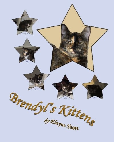Brendyl's Kittens