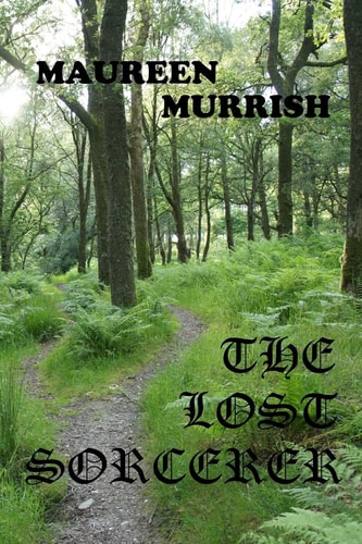 The Lost Sorcerer A Novella