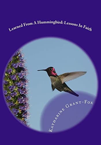 Learned From A Hummingbird Lessons In Faith