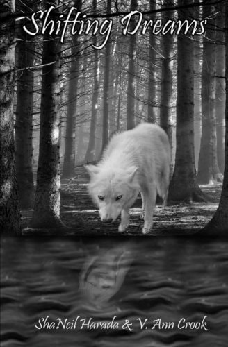 Shifting Dreams