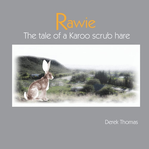 Rawie The Tale of a Karoo Scrub Hare