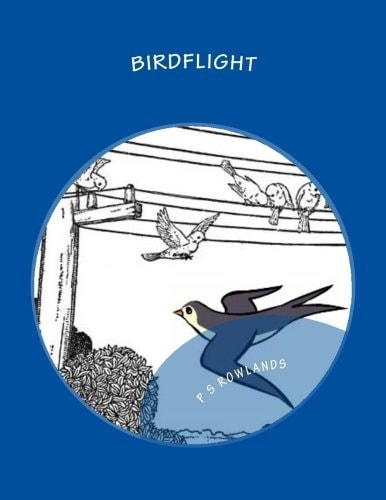 Birdflight A Science Drama Playscript