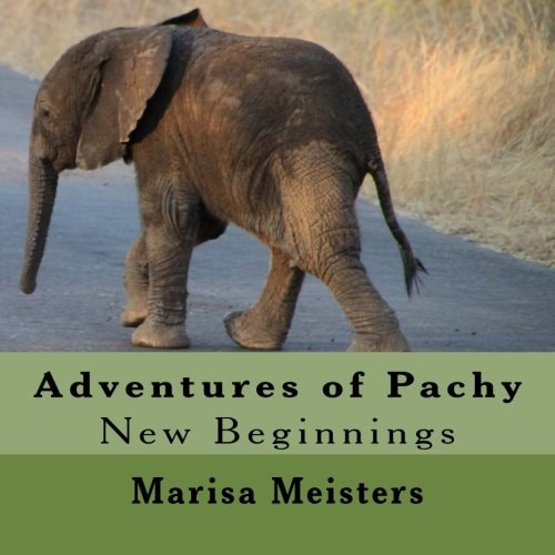 Adventures of Pachy New Beginnings