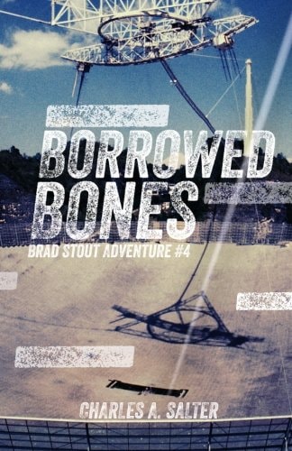 Borrowed Bones Brad Stout Adventure #4