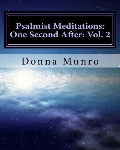 Psalmist Meditations One Second After