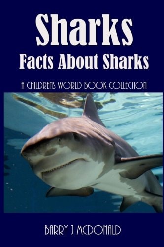 Sharks Amazing Pictures And Fun Facts About Sharks