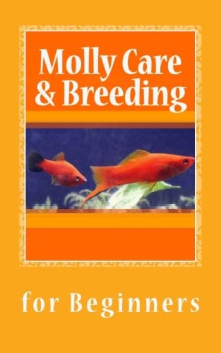 Molly Care & Breeding A Beginner's Guide to Mollies