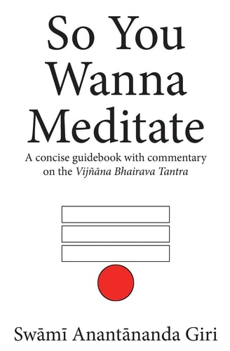 So You Wanna Meditate A Concise Guidebook with Commentary on the Vijnana Bhairava Tantra