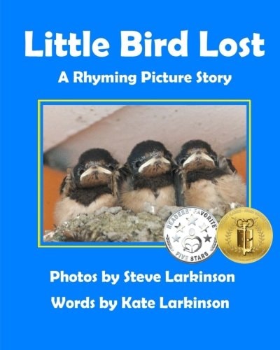 Little Bird Lost