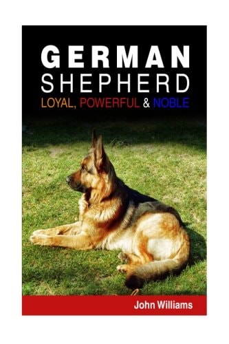 German Shepherd Loyal, Powerful & Noble