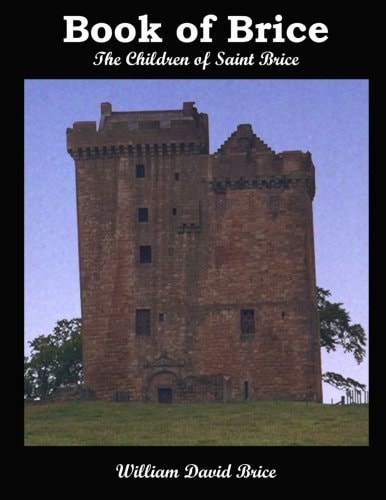 Book of Brice The Children of Saint Brice