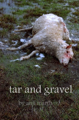 Tar and Gravel Vol. I, Road Poems 1992-2013