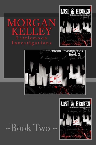 Lost and Broken Littlemoon Investigations