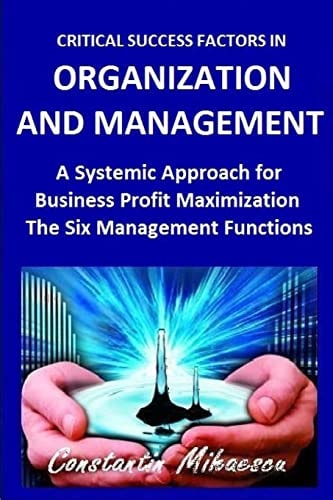 Critical Success Factors in Organization and Management The Six Natural Systemic Management Functions