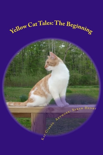 Yellow Cat Tales The Beginning
