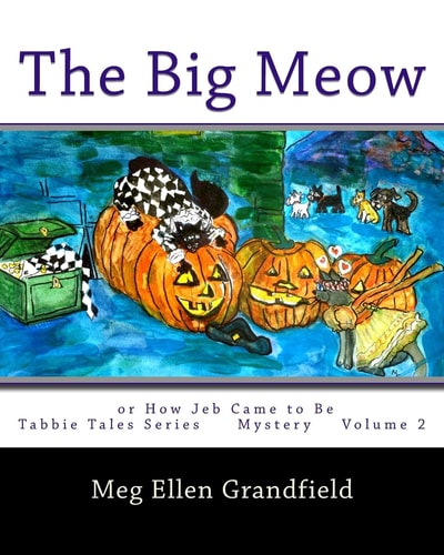 The Big Meow Or How Jeb the Cat Came to Be