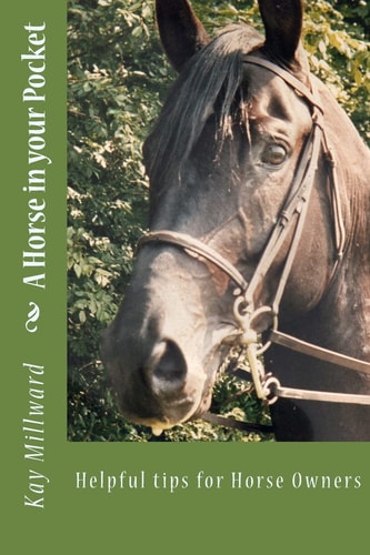 A Horse in Your Pocket