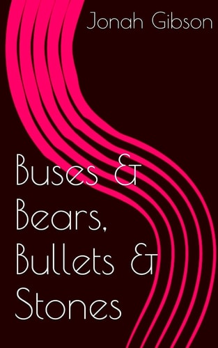 Buses and Bears, Bullets and Stones