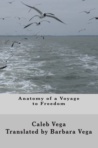 Anatomy of a Voyage to Freedom