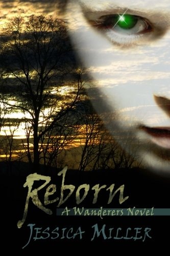Reborn (wanderers, #2)
