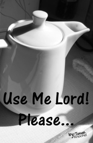 Use Me Lord! Please...