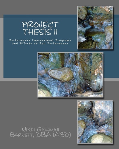 Project Thesis II Performance Improvement Programs and Effects on Job Performance