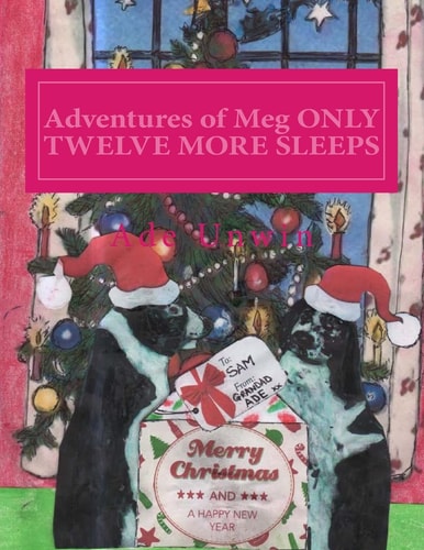 Adventures of Meg ONLY TWELVE MORE SLEEPS