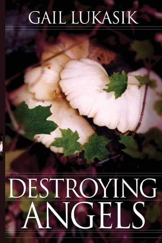 Destroying Angels A Leigh Girard Mystery