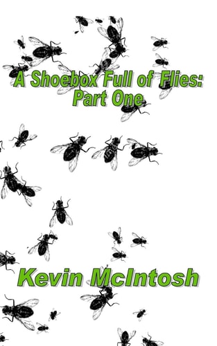 A Shoebox Full Of Flies Part One