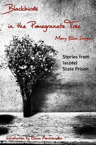 Blackbirds in the Pomegranate Tree Stories from Ixcotel State Prison