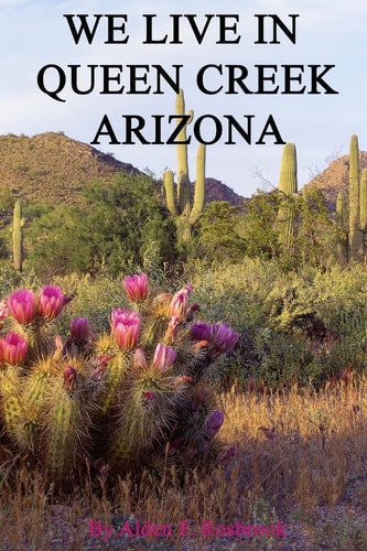 We Live In Queen Creek Arizona If it Were Not for the Mafia We Would Most Likely Not Have Moved to Queen Creek